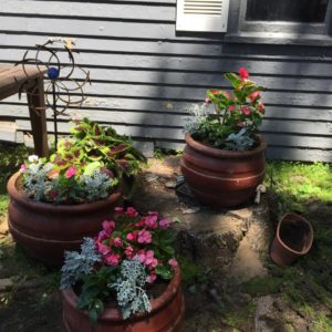 Katydid Backyard Renovation Project