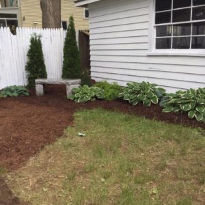 Katydid Backyard Renovation Project