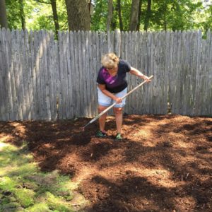 Katydid Backyard Renovation Project