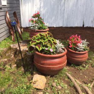 Katydid Backyard Renovation Project